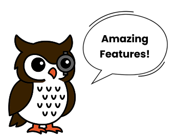 Amazing Features Owl