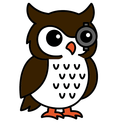 The Productivity Owl